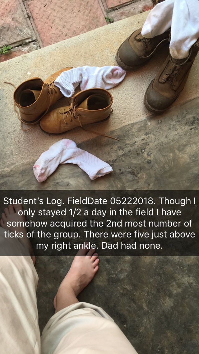 ticks.JPG